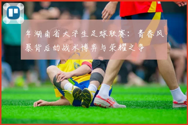 年湖南省大学生足球联赛：青春风暴背后的战术博弈与荣耀之争