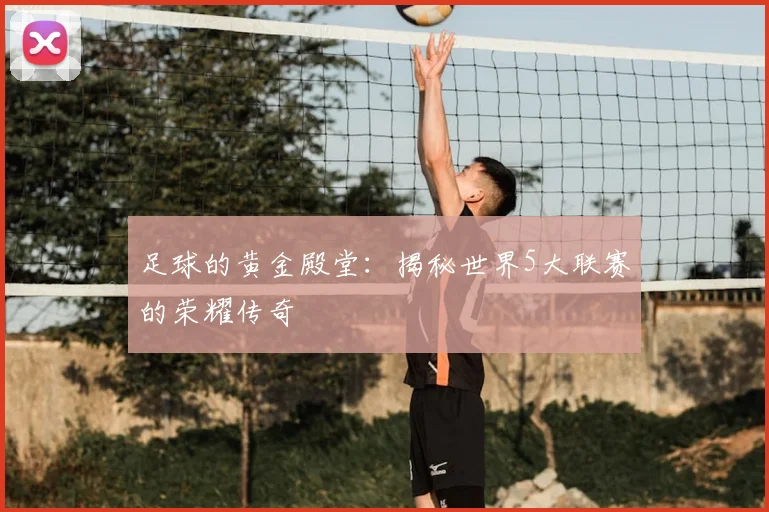 足球的黄金殿堂：揭秘世界5大联赛的荣耀传奇