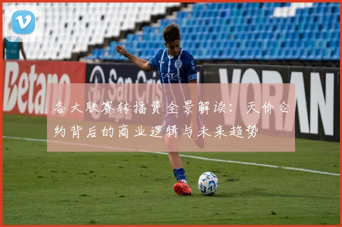 各大联赛转播费全景解读：天价合约背后的商业逻辑与未来趋势