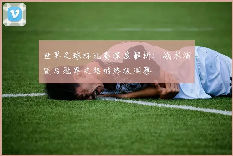 世界足球杯比赛深度解析：战术演变与冠军之路的终极洞察