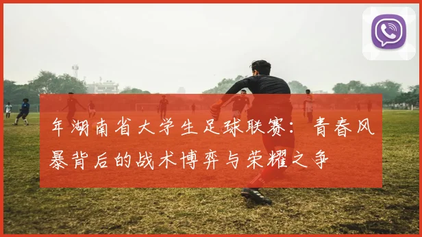 年湖南省大学生足球联赛：青春风暴背后的战术博弈与荣耀之争