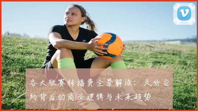 各大联赛转播费全景解读：天价合约背后的商业逻辑与未来趋势